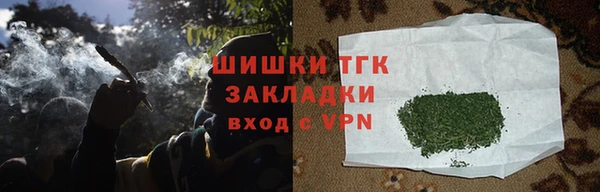 ГАЛЛЮЦИНОГЕННЫЕ ГРИБЫ Балабаново