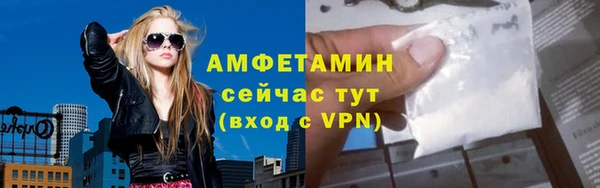 ГАЛЛЮЦИНОГЕННЫЕ ГРИБЫ Балабаново