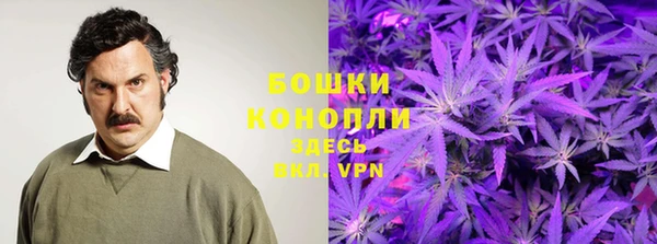 ГАЛЛЮЦИНОГЕННЫЕ ГРИБЫ Балабаново