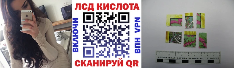 где можно купить наркотик omg ссылка Наркотические марки 1500мкг Гремячинск