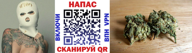 Бошки Шишки семена  продажа наркотиков  Гремячинск 